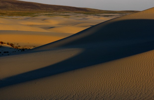 Red Desert
